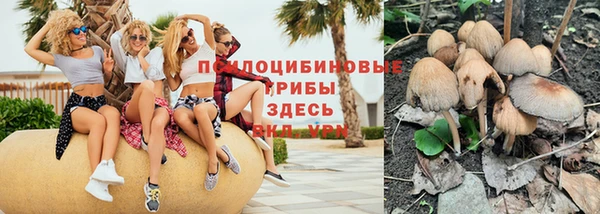стаф Алексеевка
